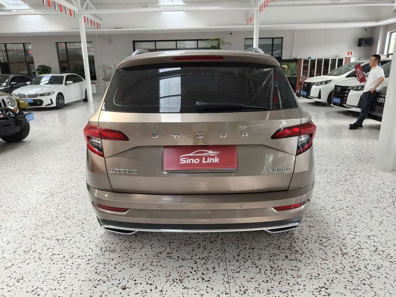 Skoda Karoq — фото 7