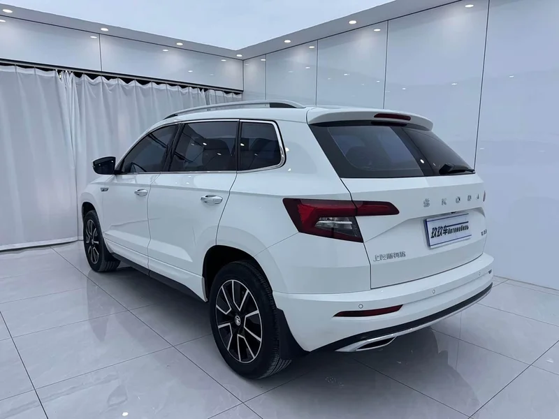 Skoda Karoq — фото 6