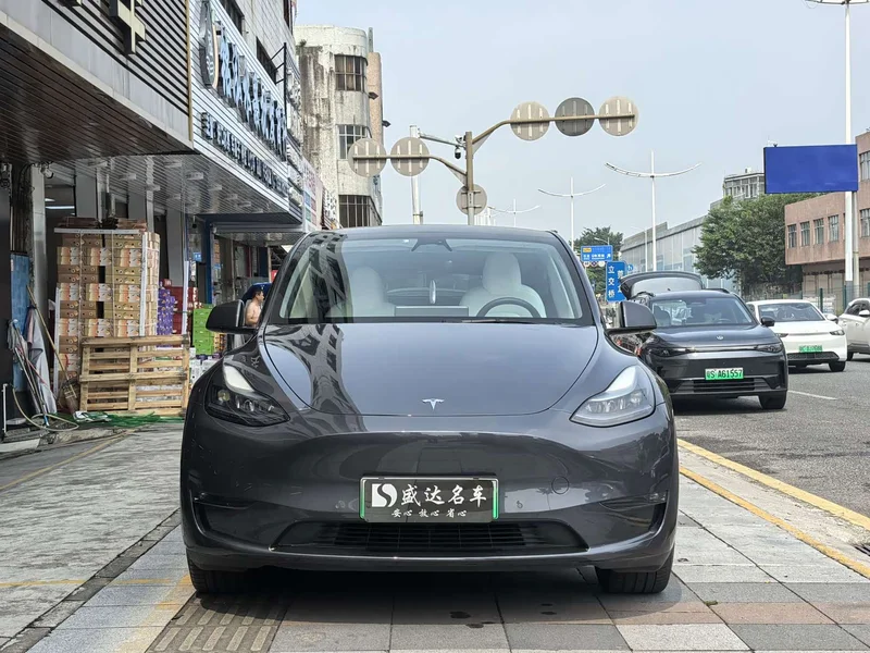 Tesla Model Y — фото 2