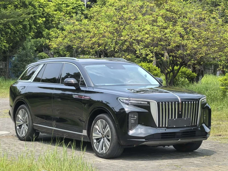 Hongqi E-HS9 — фото 3