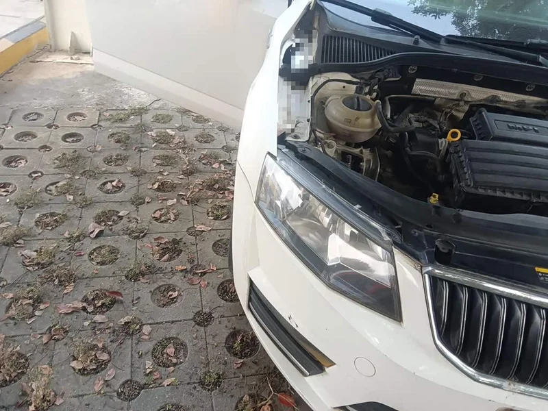 Volkswagen Octavia — фото 7