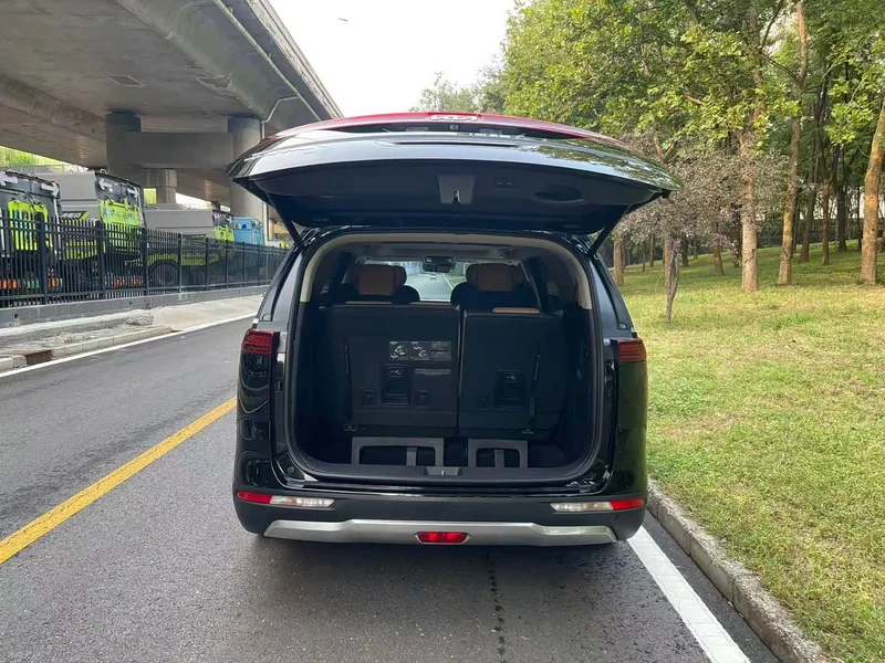 Kia Carnival — фото 18