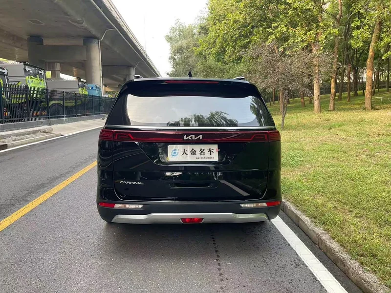 Kia Carnival — фото 19