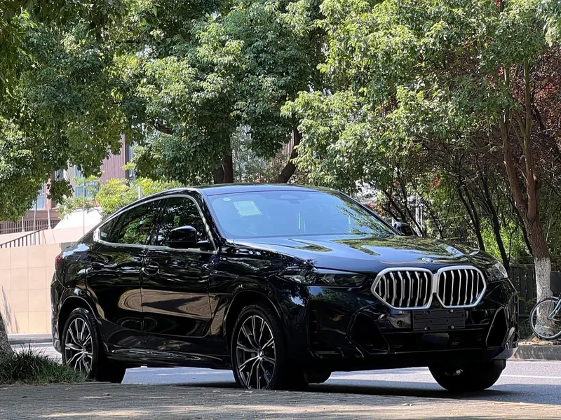 BMW X6 — фото 2