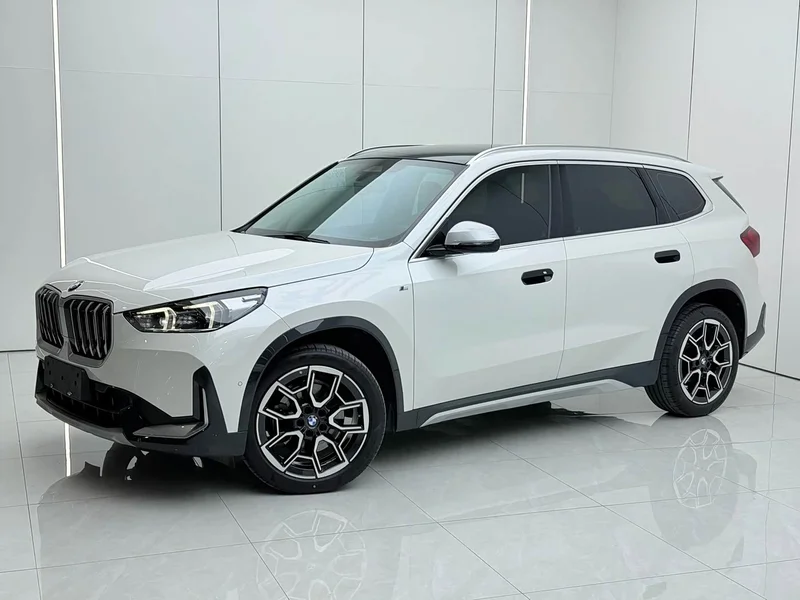 BMW X1 — фото 1