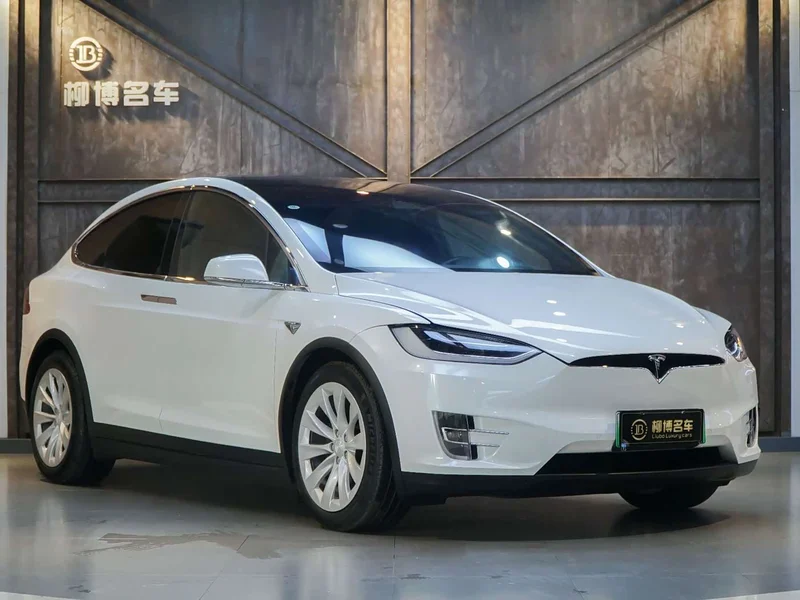 Tesla Model X — фото 16