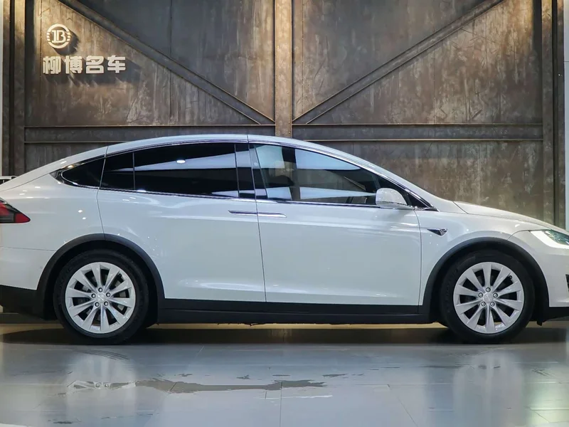 Tesla Model X — фото 17