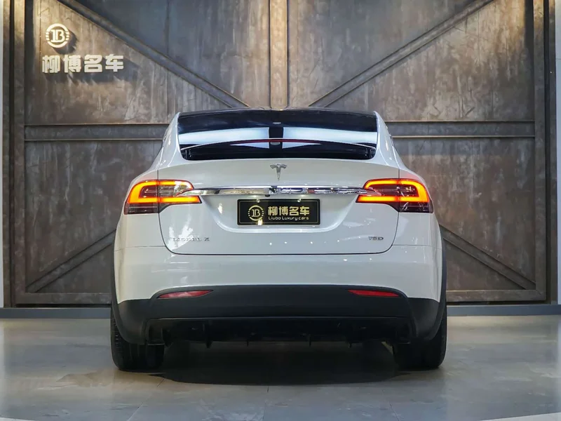 Tesla Model X — фото 3
