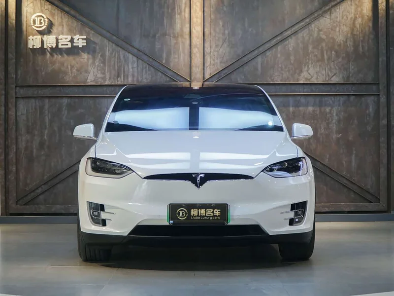 Tesla Model X — фото 5
