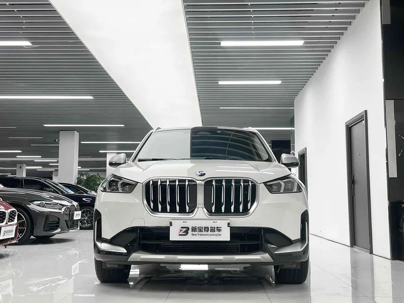 BMW X1 — фото 2