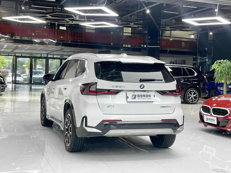 BMW X1 — фото 10