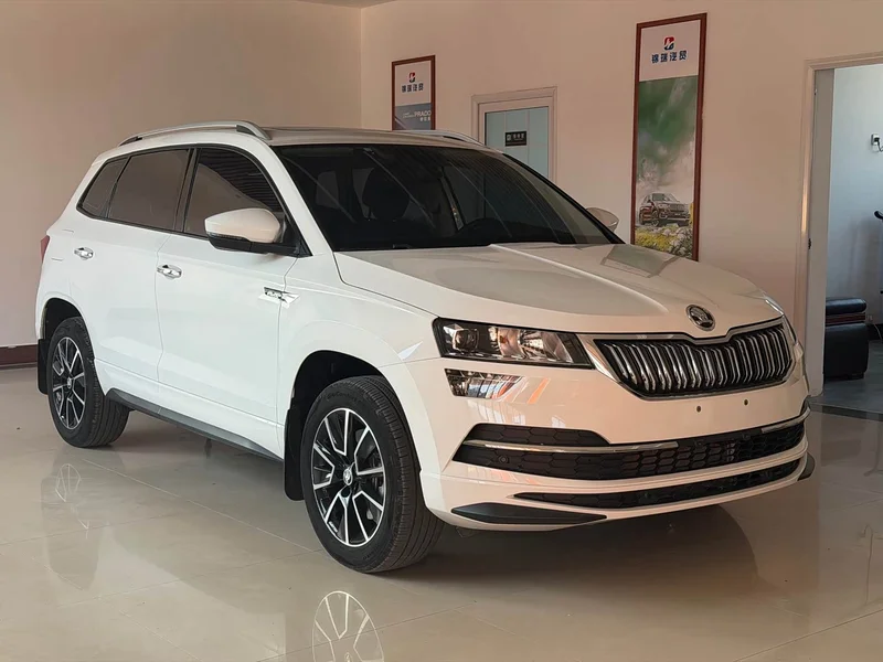 Skoda Karoq — фото 3