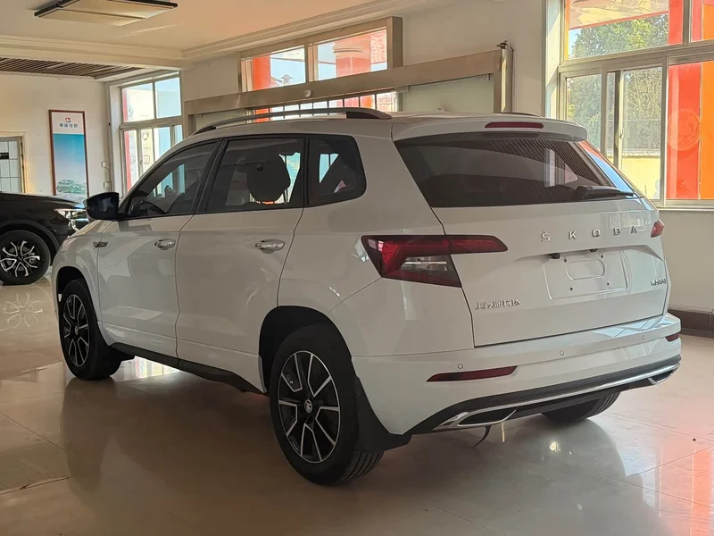 Skoda Karoq — фото 6