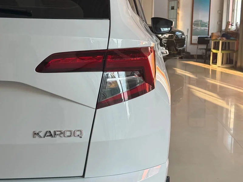 Skoda Karoq — фото 8