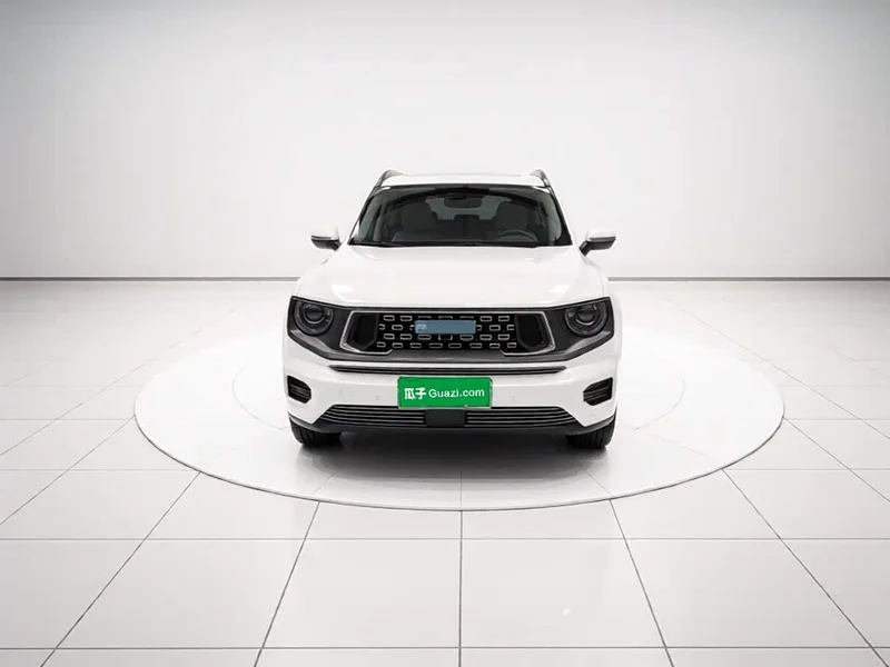Haval Dagou PLUS New Energy — фото 1