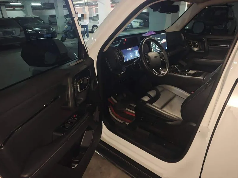 Haval Dagou PLUS New Energy — фото 11