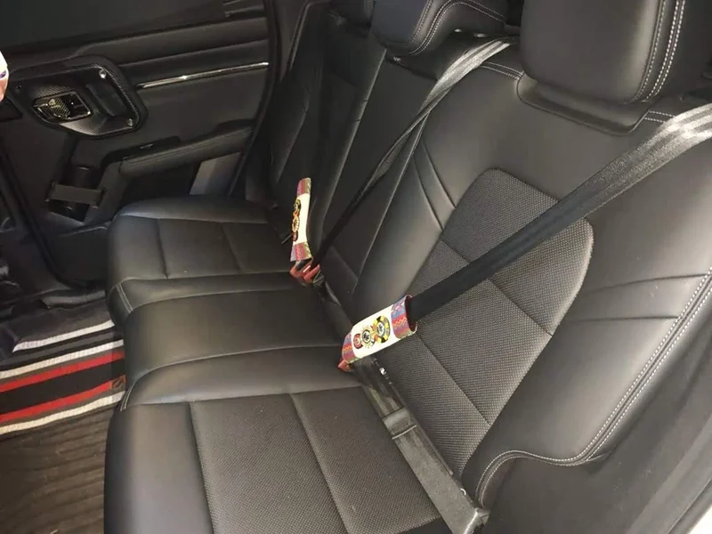 Haval Dagou PLUS New Energy — фото 12