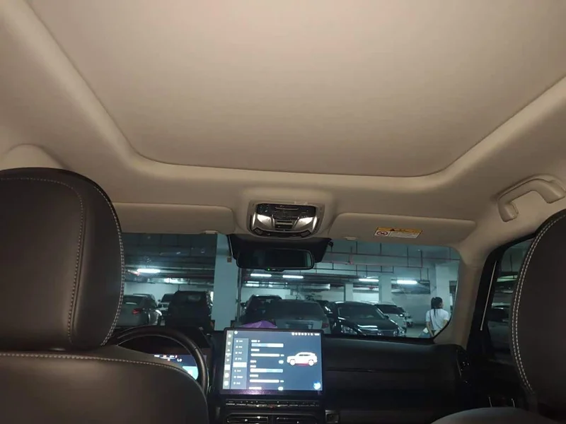 Haval Dagou PLUS New Energy — фото 13