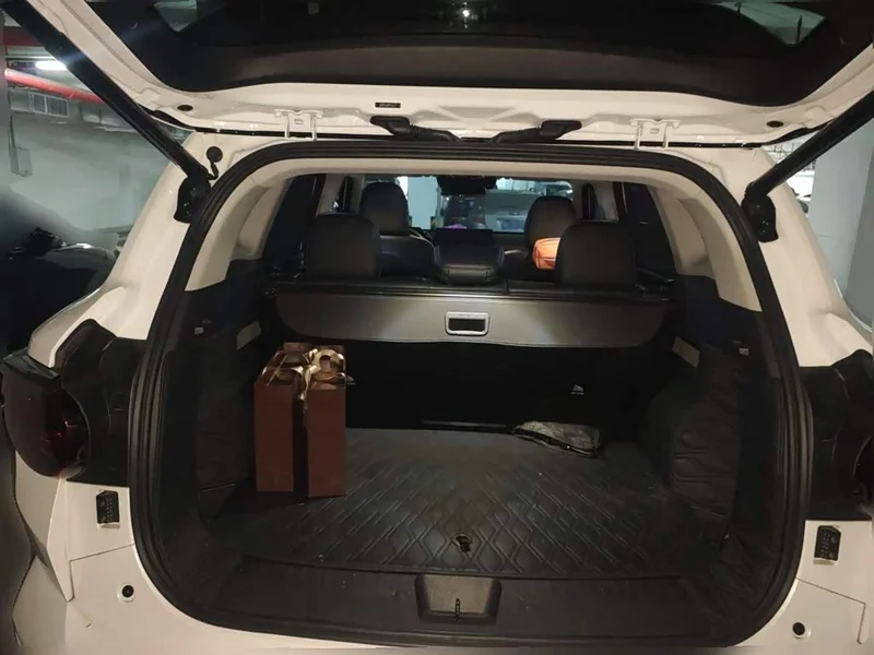 Haval Dagou PLUS New Energy — фото 14