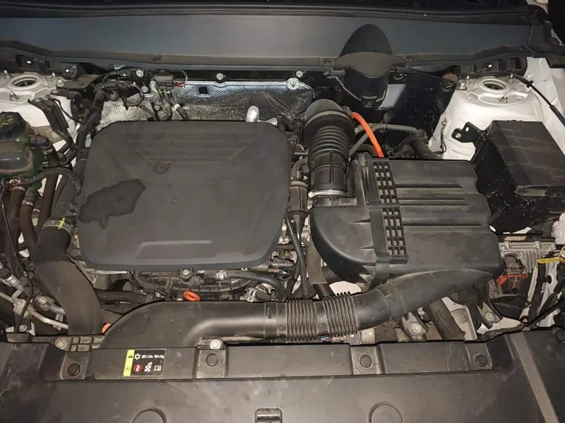 Haval Dagou PLUS New Energy — фото 15