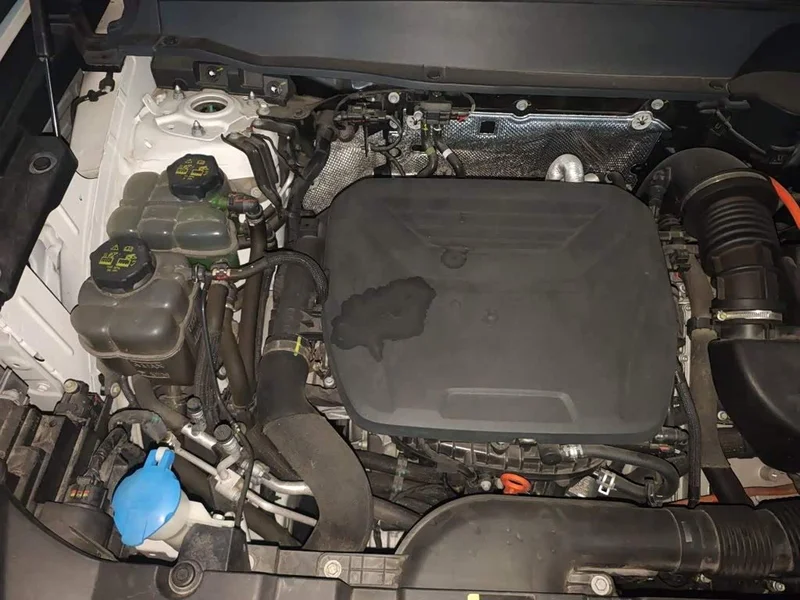 Haval Dagou PLUS New Energy — фото 20