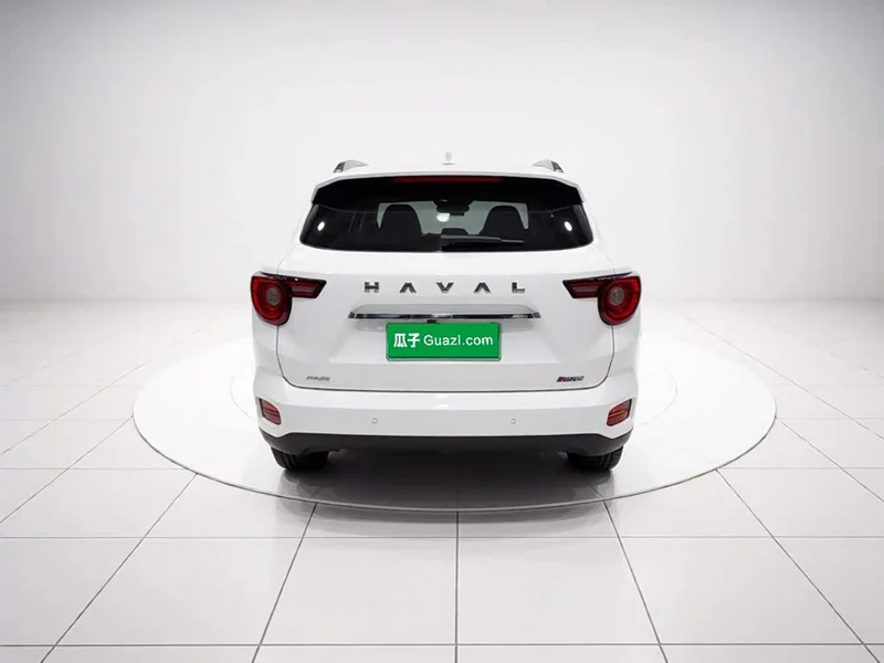 Haval Dagou PLUS New Energy — фото 2