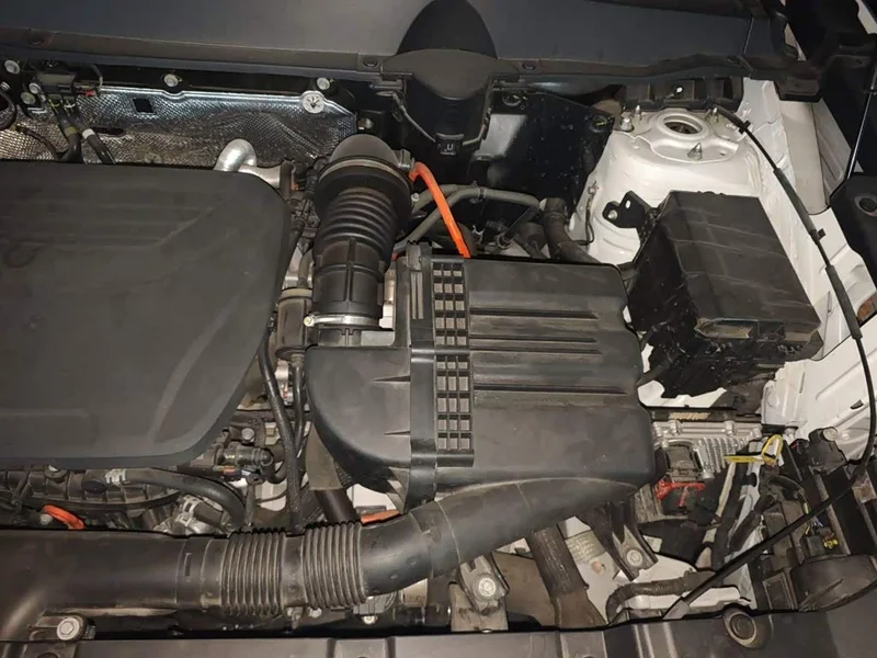 Haval Dagou PLUS New Energy — фото 21