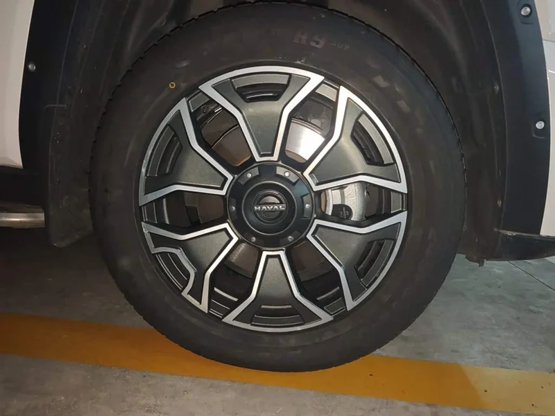 Haval Dagou PLUS New Energy — фото 24