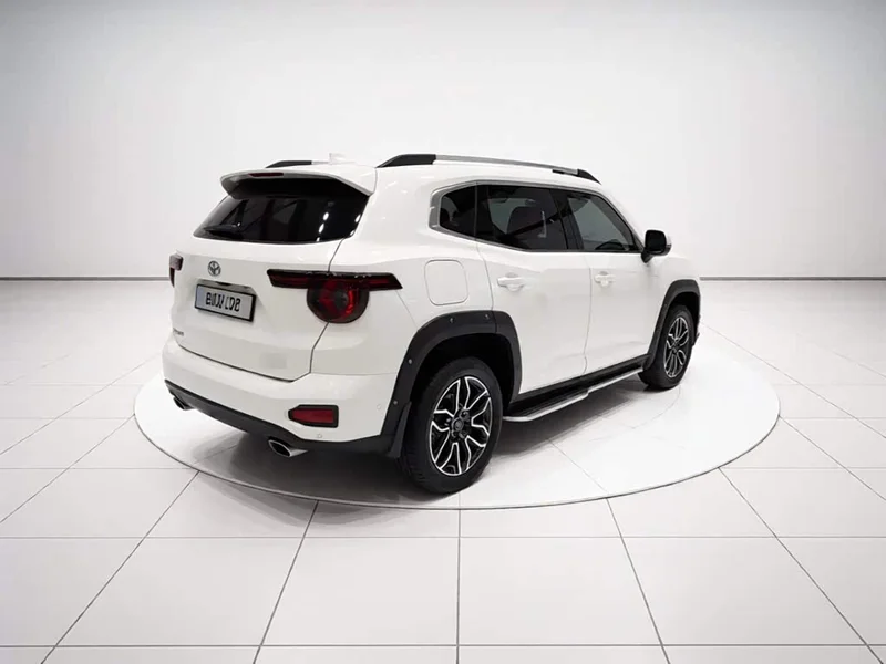 Haval Dagou PLUS New Energy — фото 3