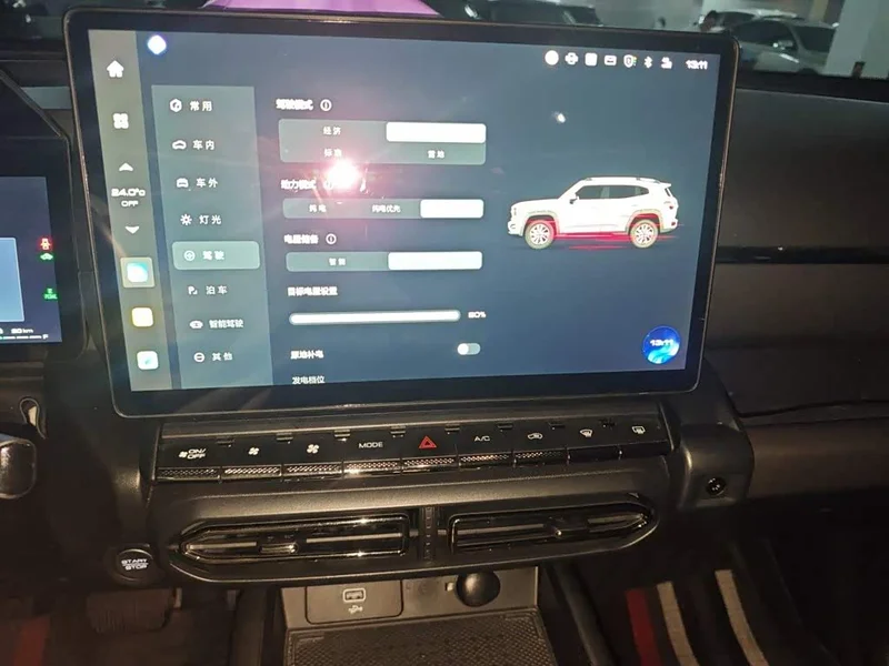 Haval Dagou PLUS New Energy — фото 8