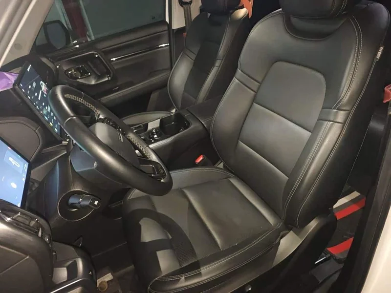 Haval Dagou PLUS New Energy — фото 10