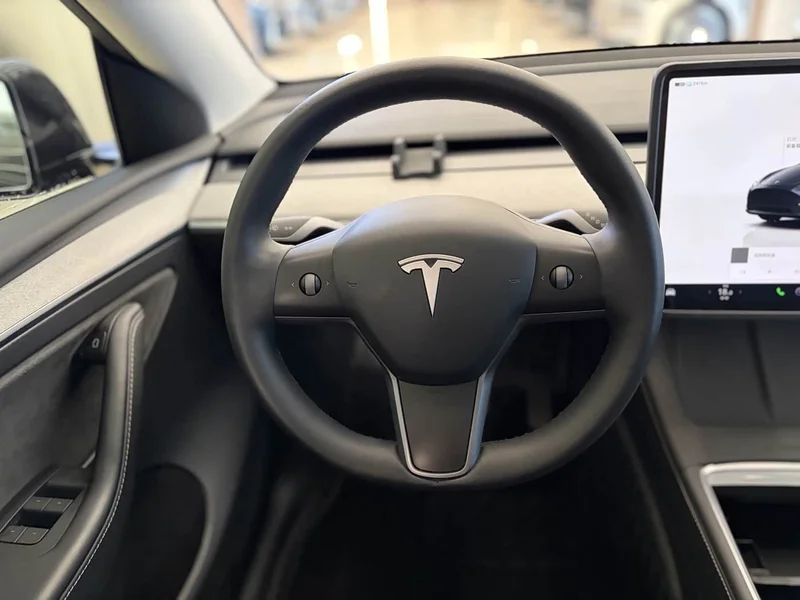 Tesla Model Y — фото 7