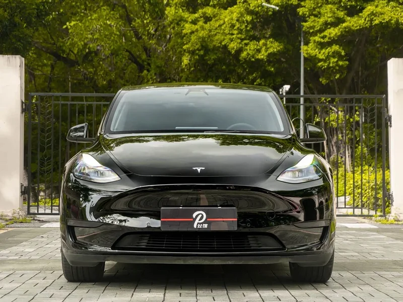 Tesla Model Y — фото 2