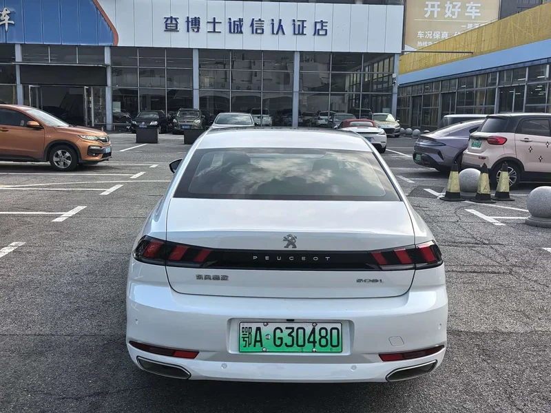 Peugeot 508L New Energy — фото 8