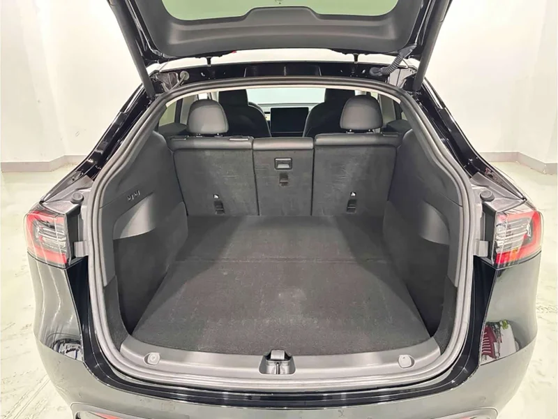 Tesla Model Y — фото 14