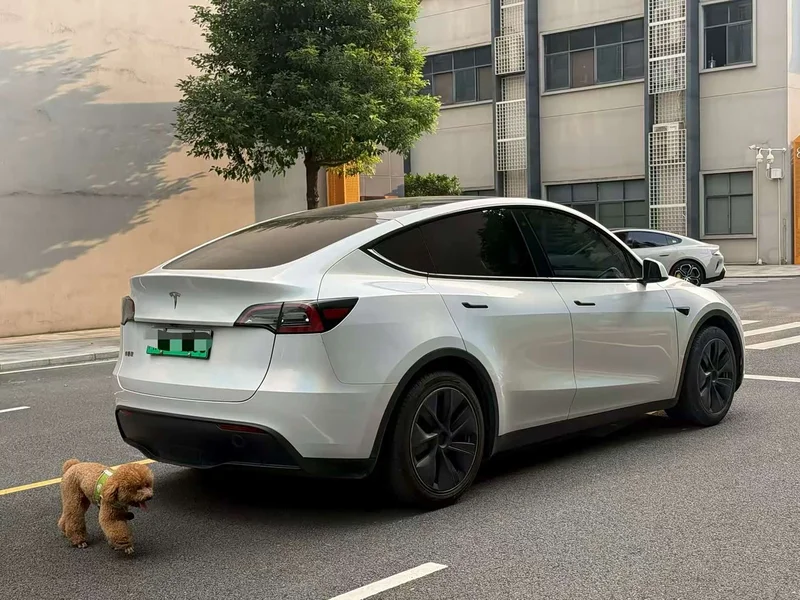 Tesla Model Y — фото 2