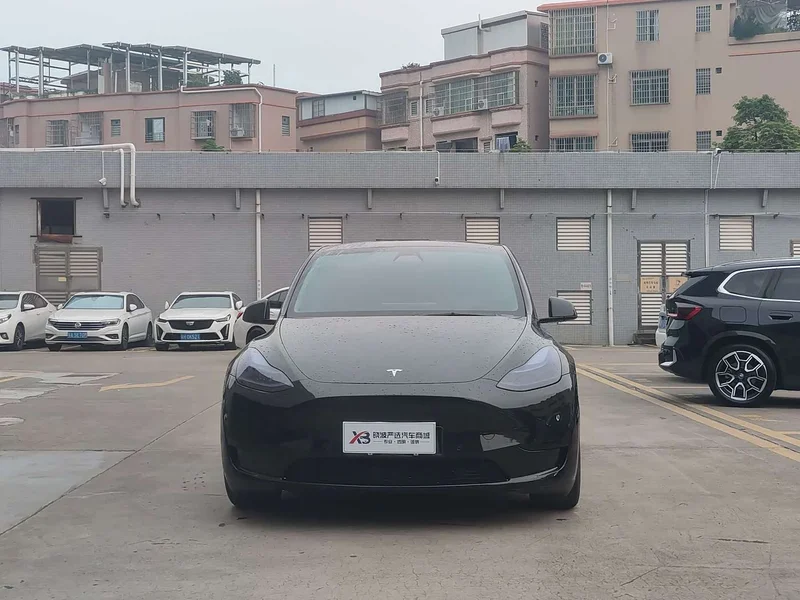 Tesla Model Y — фото 2
