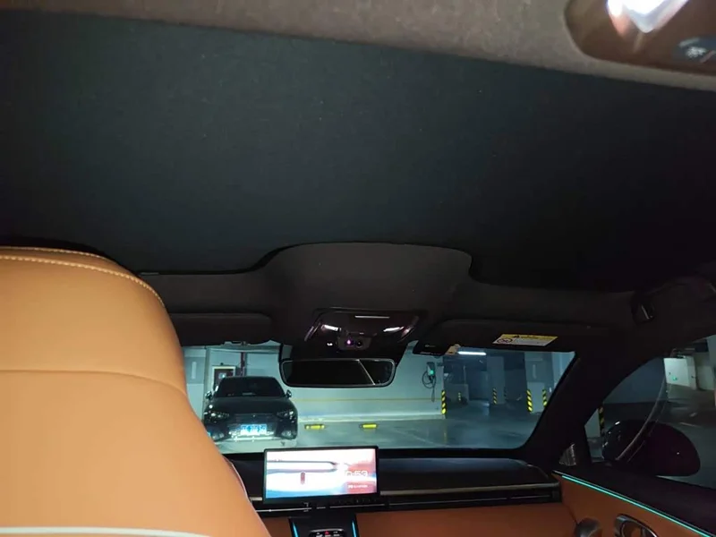 Ora Lightning Cat — фото 14