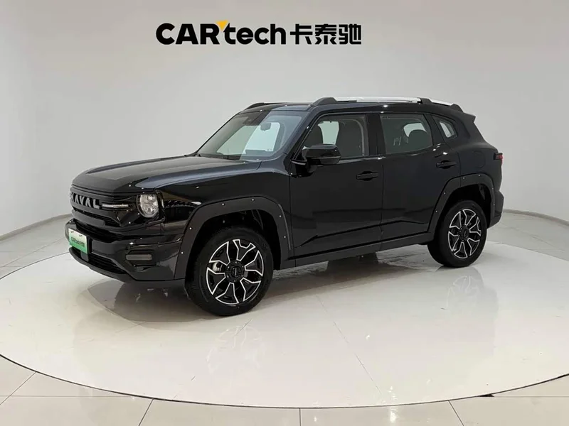 Haval Dagou PLUS New Energy — фото 1