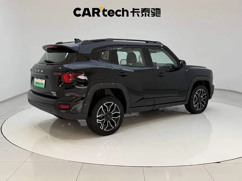 Haval Dagou PLUS New Energy — фото 11