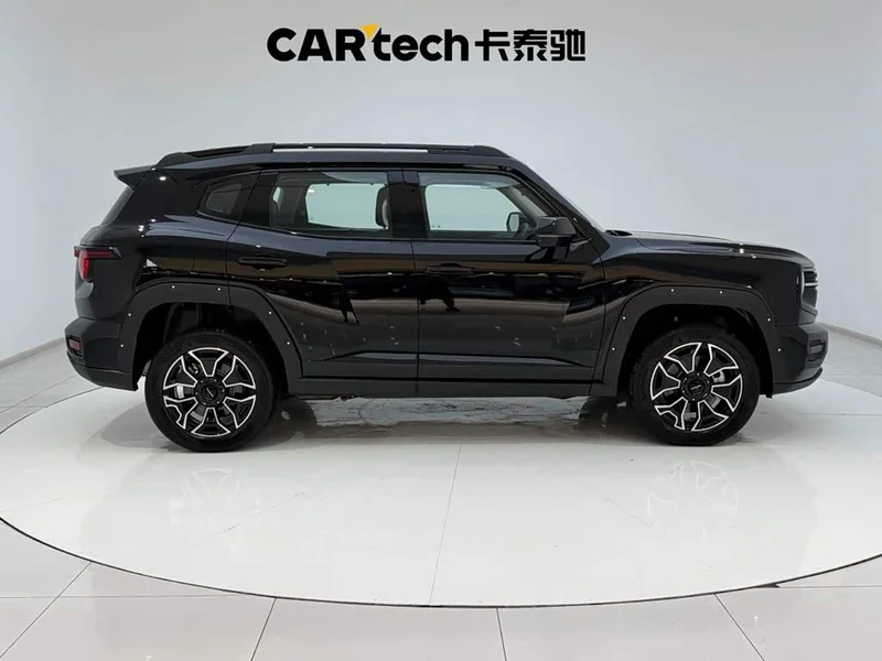 Haval Dagou PLUS New Energy — фото 12