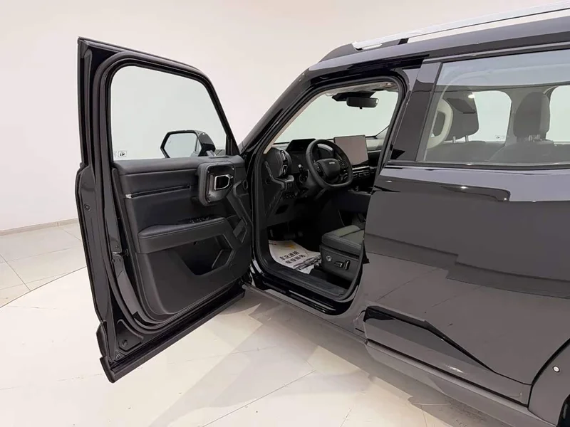 Haval Dagou PLUS New Energy — фото 13