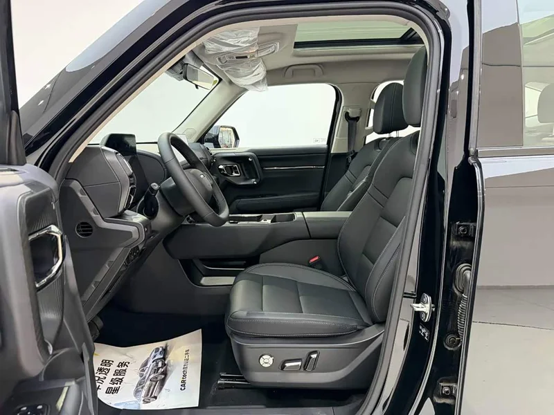 Haval Dagou PLUS New Energy — фото 15
