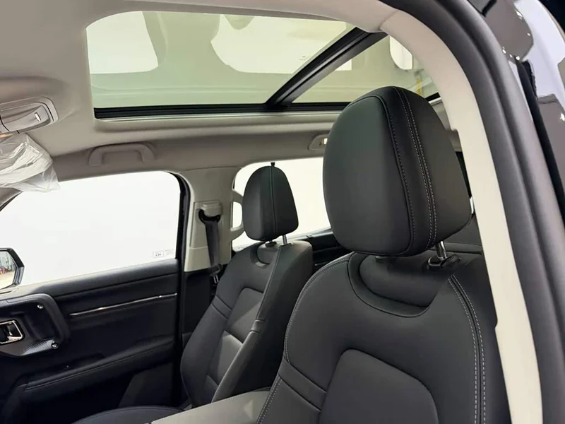 Haval Dagou PLUS New Energy — фото 16