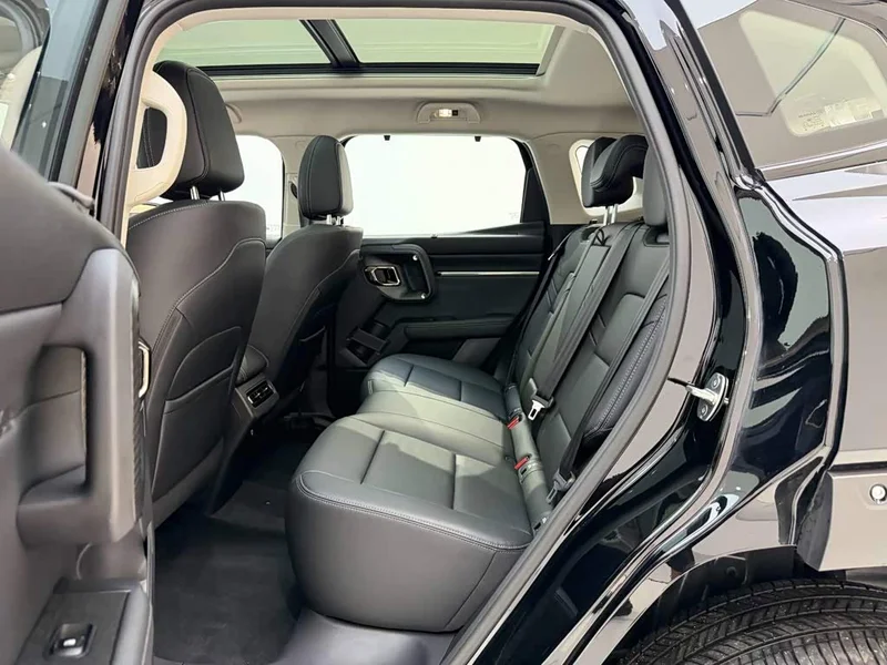 Haval Dagou PLUS New Energy — фото 17