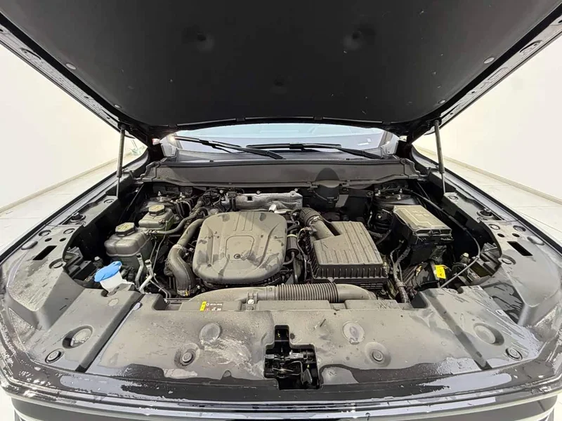 Haval Dagou PLUS New Energy — фото 18