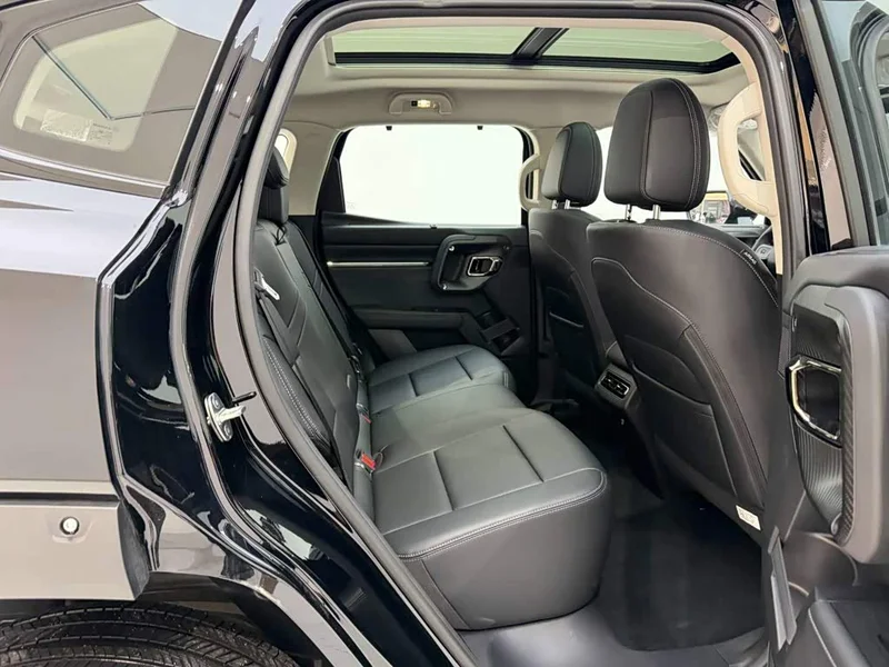 Haval Dagou PLUS New Energy — фото 20