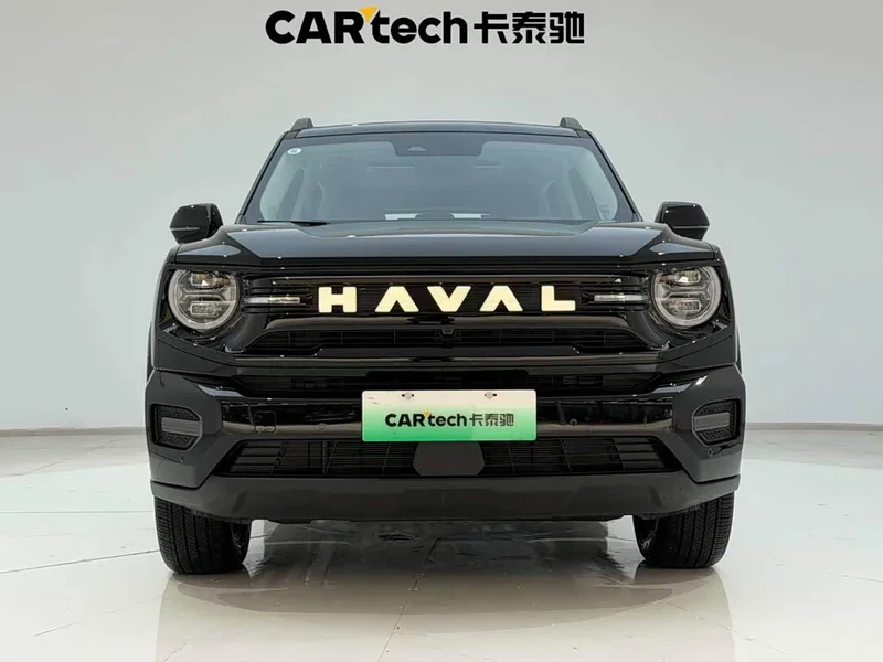 Haval Dagou PLUS New Energy — фото 3