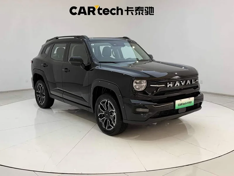 Haval Dagou PLUS New Energy — фото 4