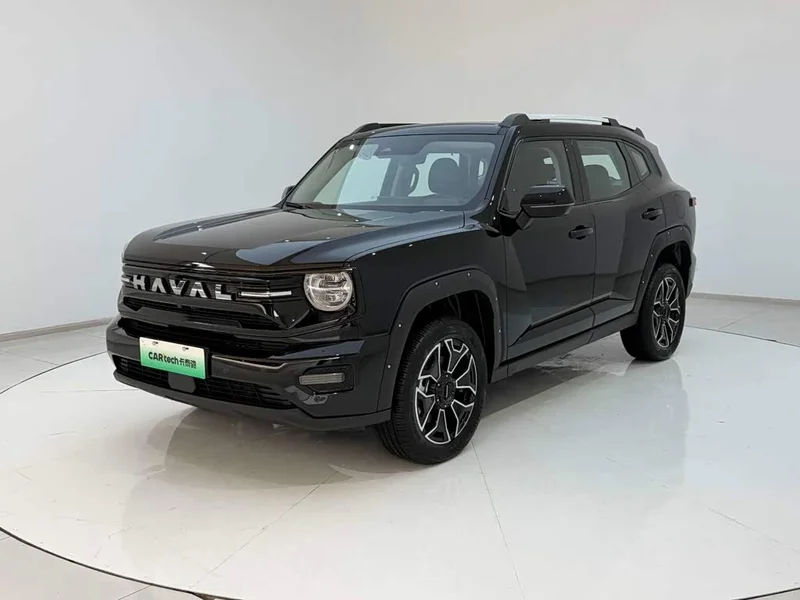 Haval Dagou PLUS New Energy — фото 5